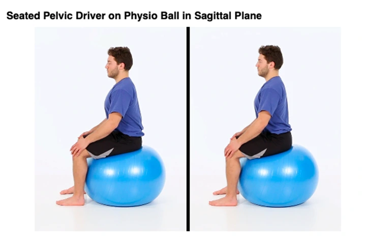 Seated pelvic Driver on physio ball in sagittal plane