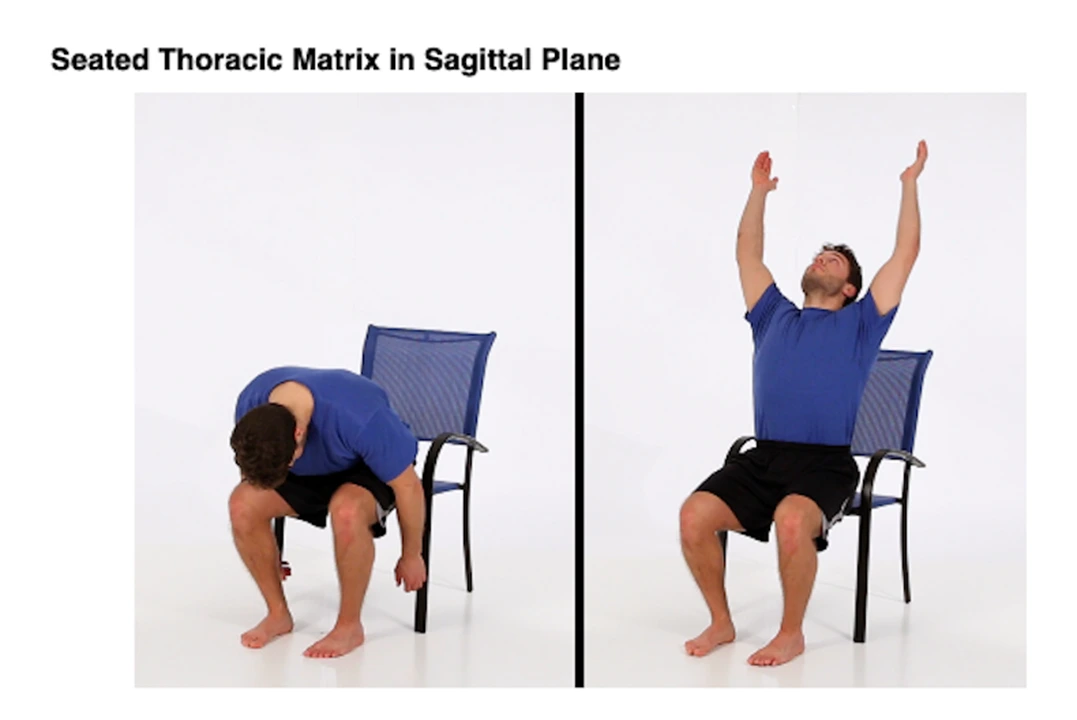 Seated thoracic matrix in sagittal plane.