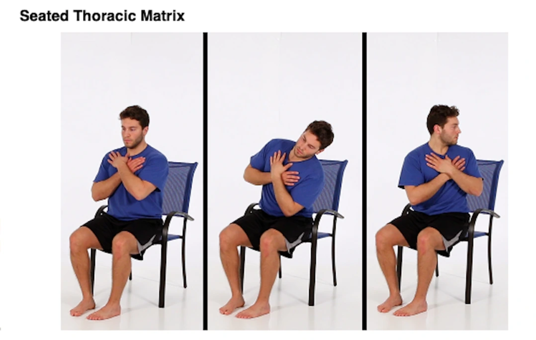 Seated thoracic matrix