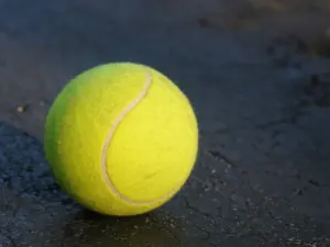 Tennis ball on the ground.
