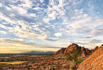 PhoenixScenery Phoenix Scenery