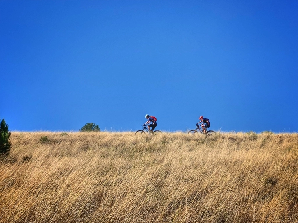 A field in Prescott
