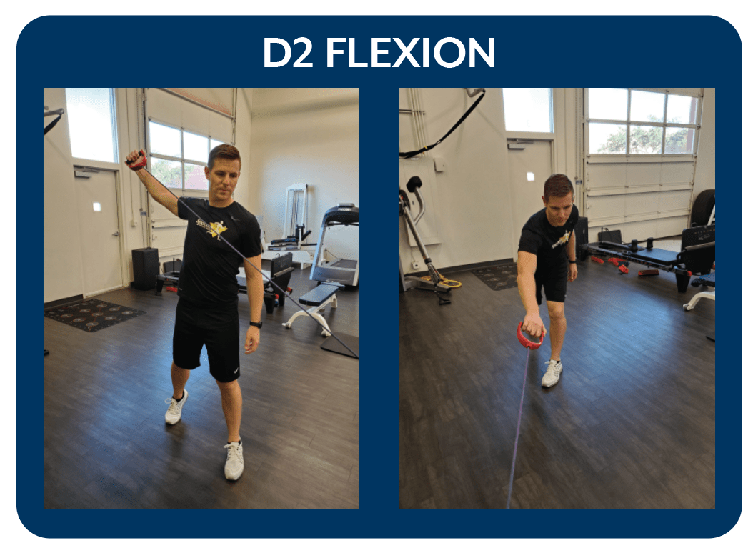 D2 Flexion