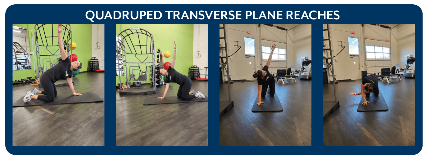 Quadraped Transverse Plane Rotation