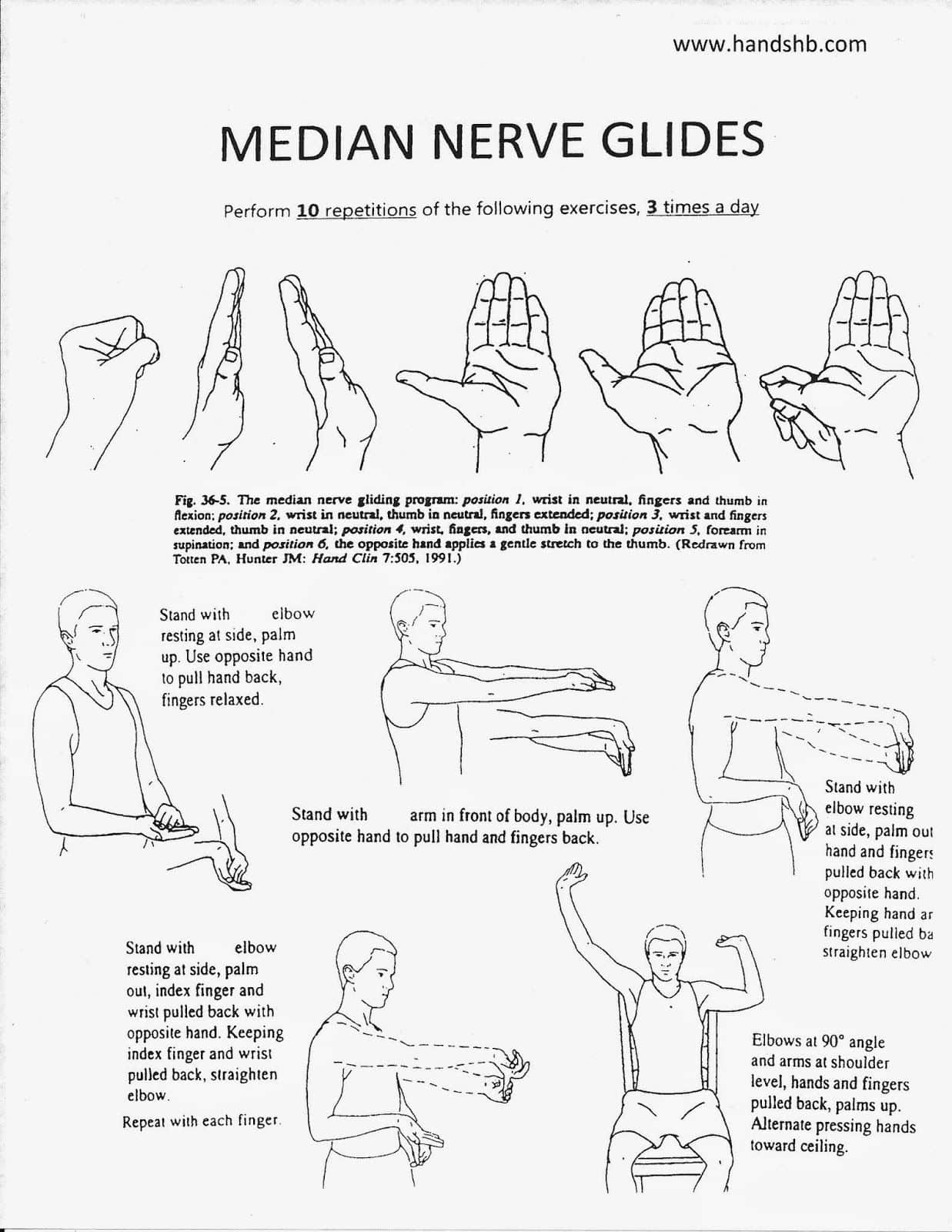 Median Nerve Glides exercises