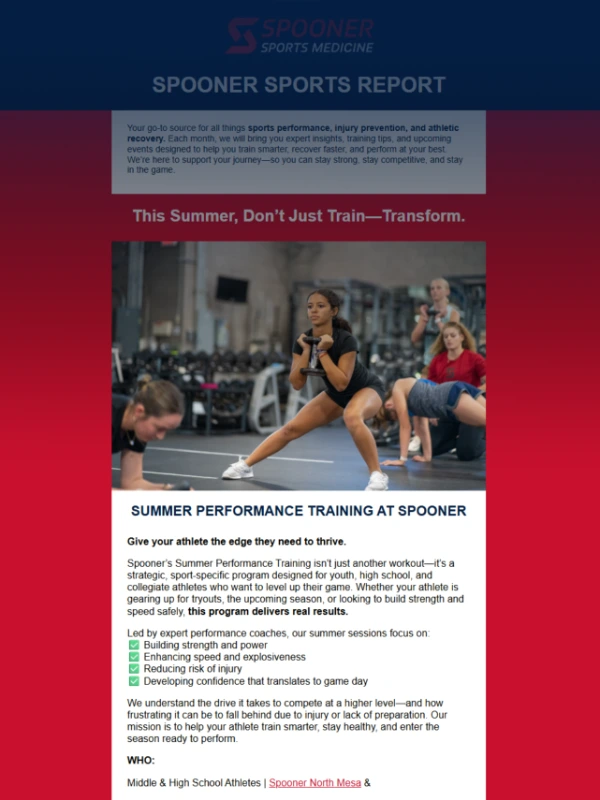 Screenshot of the spooner newsletter.